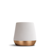 Joey Double Wall Ceramic Mugs-