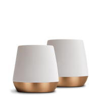 Joey Double Wall Ceramic Mugs-Matte White-8 oz-Set of 2-Fellow
