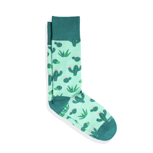 Prickly Cactus Socks