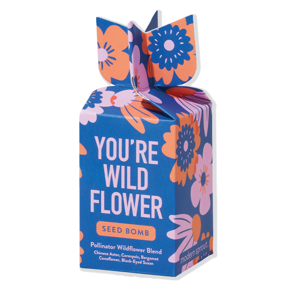 Wildflower Seed Bomb